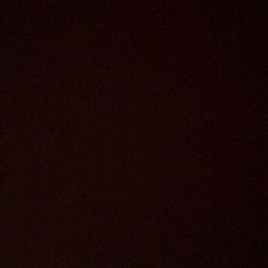 Meet your Posher, Ally